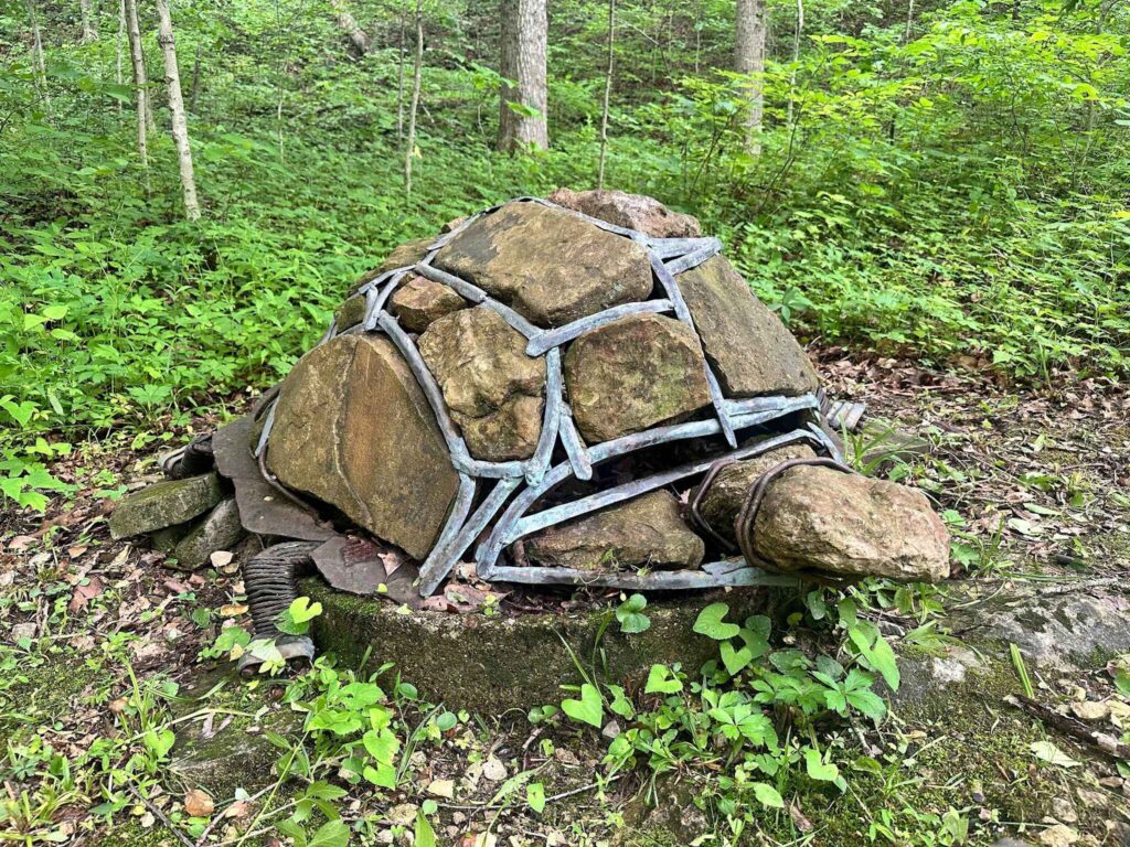 Box Turtle