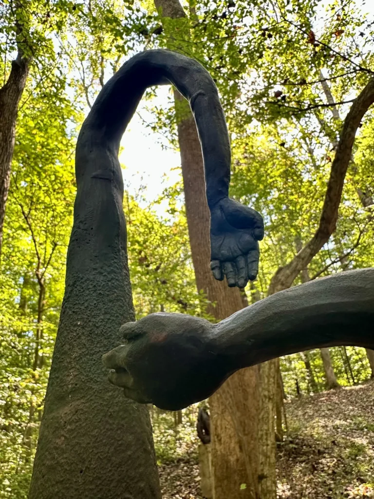 Cynics