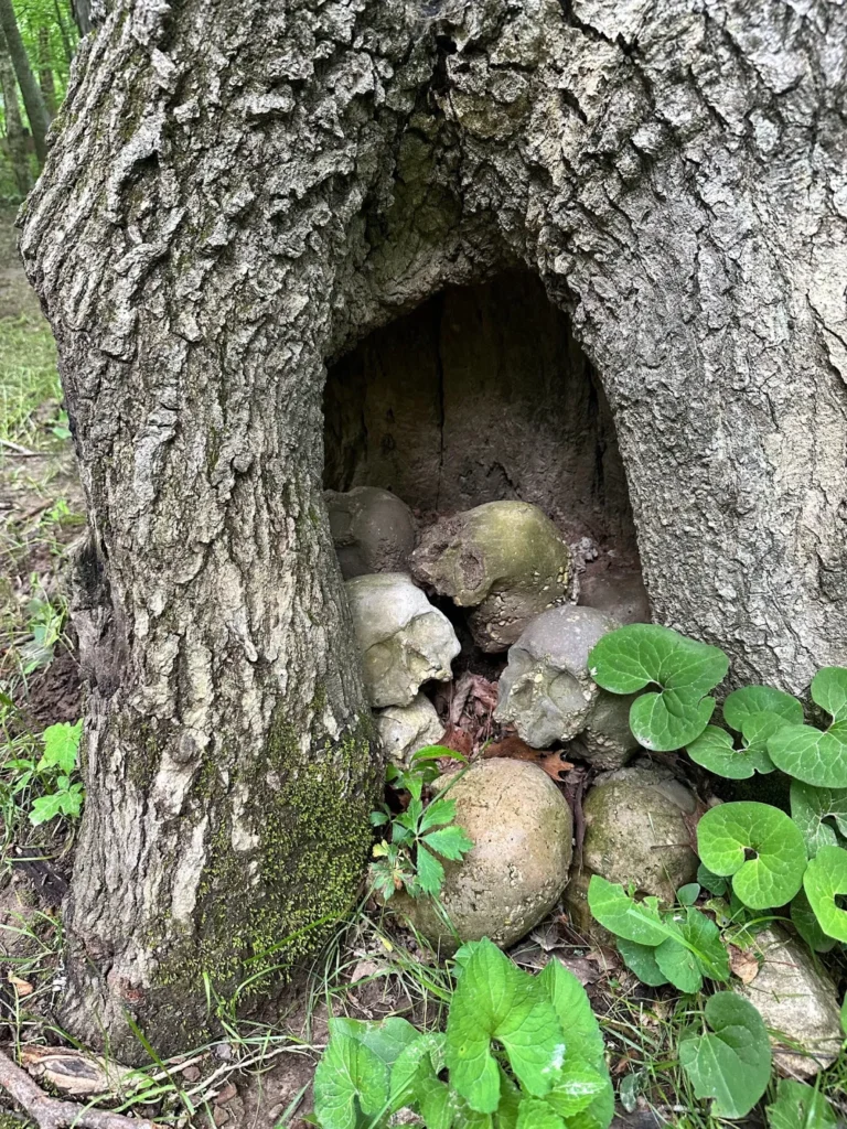 Easter Egg