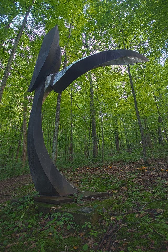 Forest Dancing