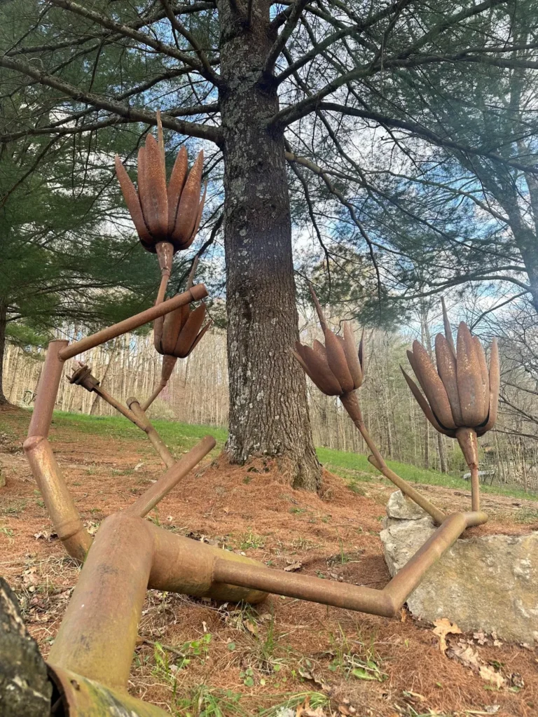 Indiana Tulips