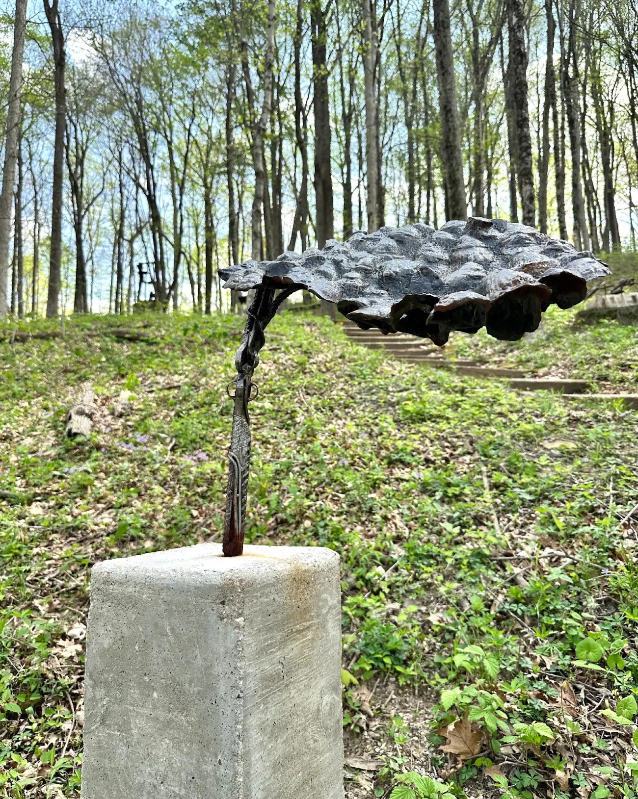 Irregular Crane