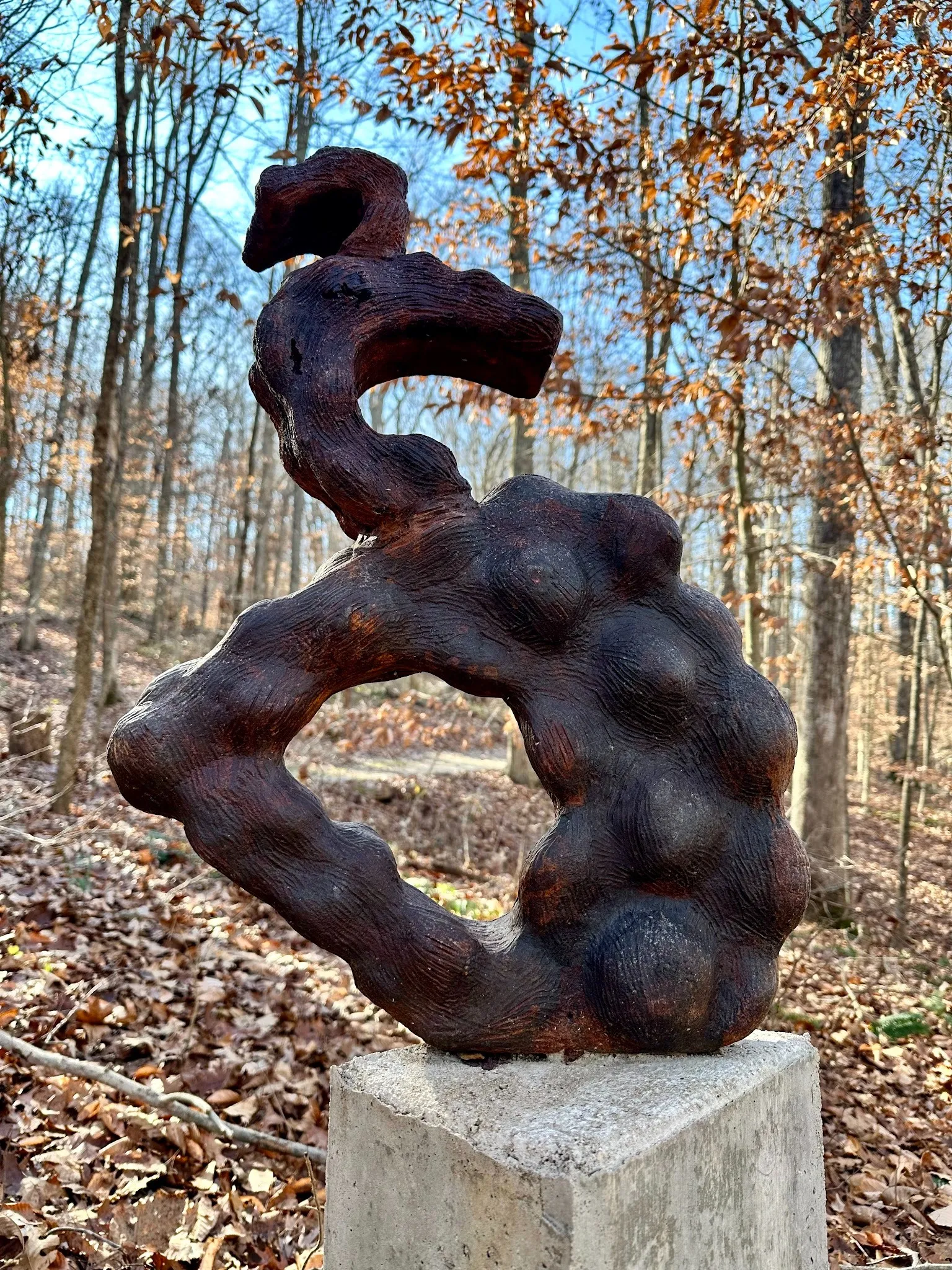 Metamorphic Rise