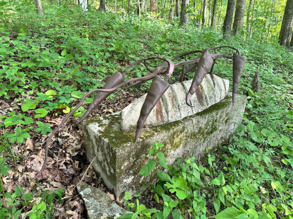 Migration