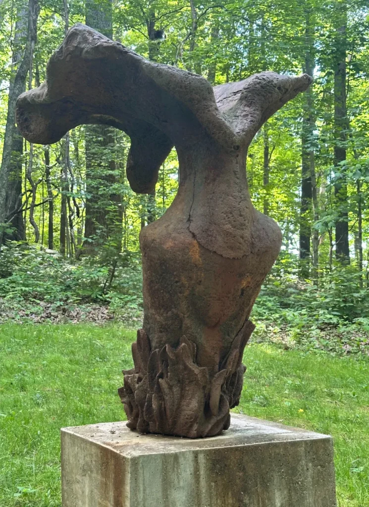 Roots and Wings