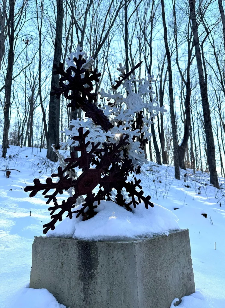 Snowflakes