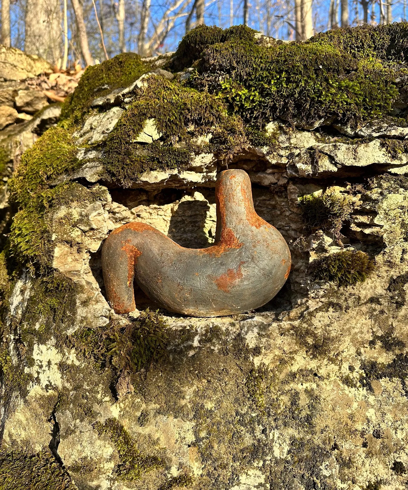 Stomach (Object that Screams)