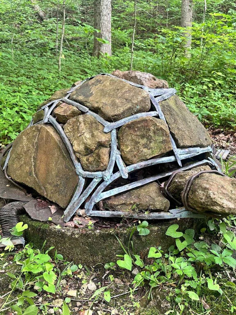 Box Turtle