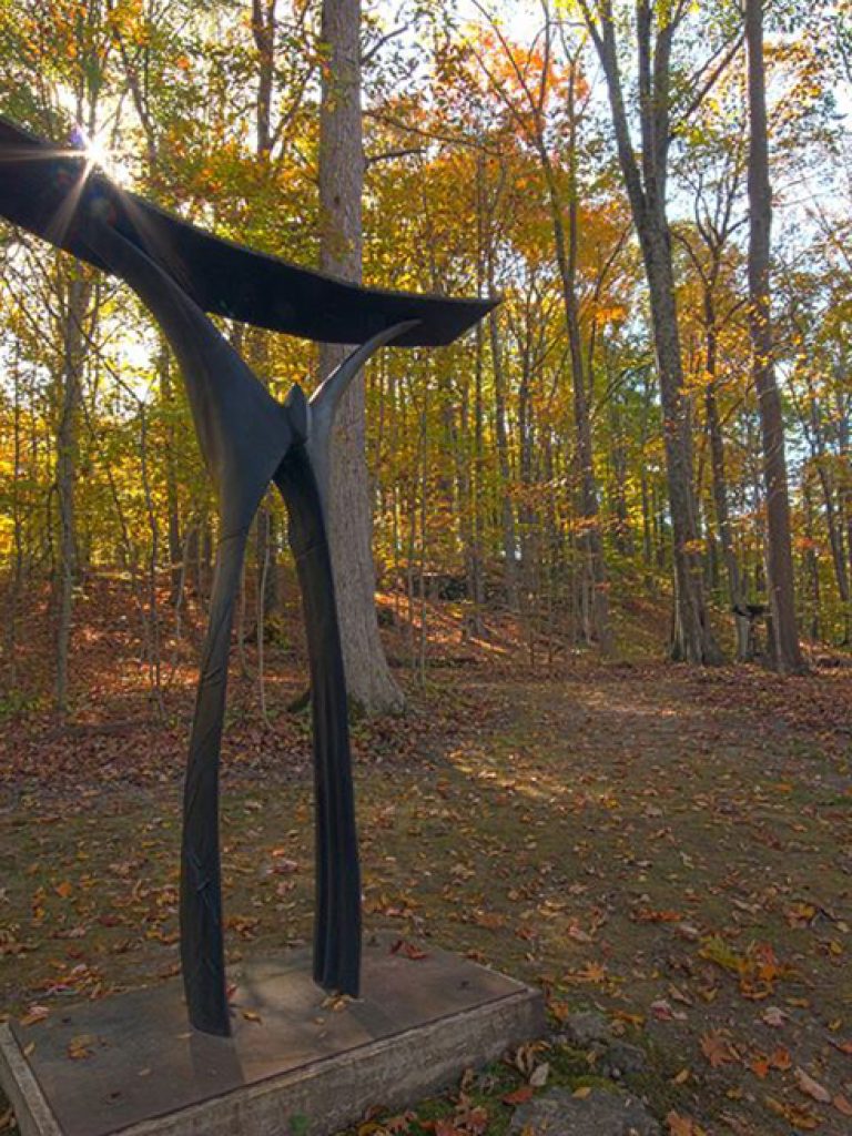 Burbury_Caro_Indianavisionary