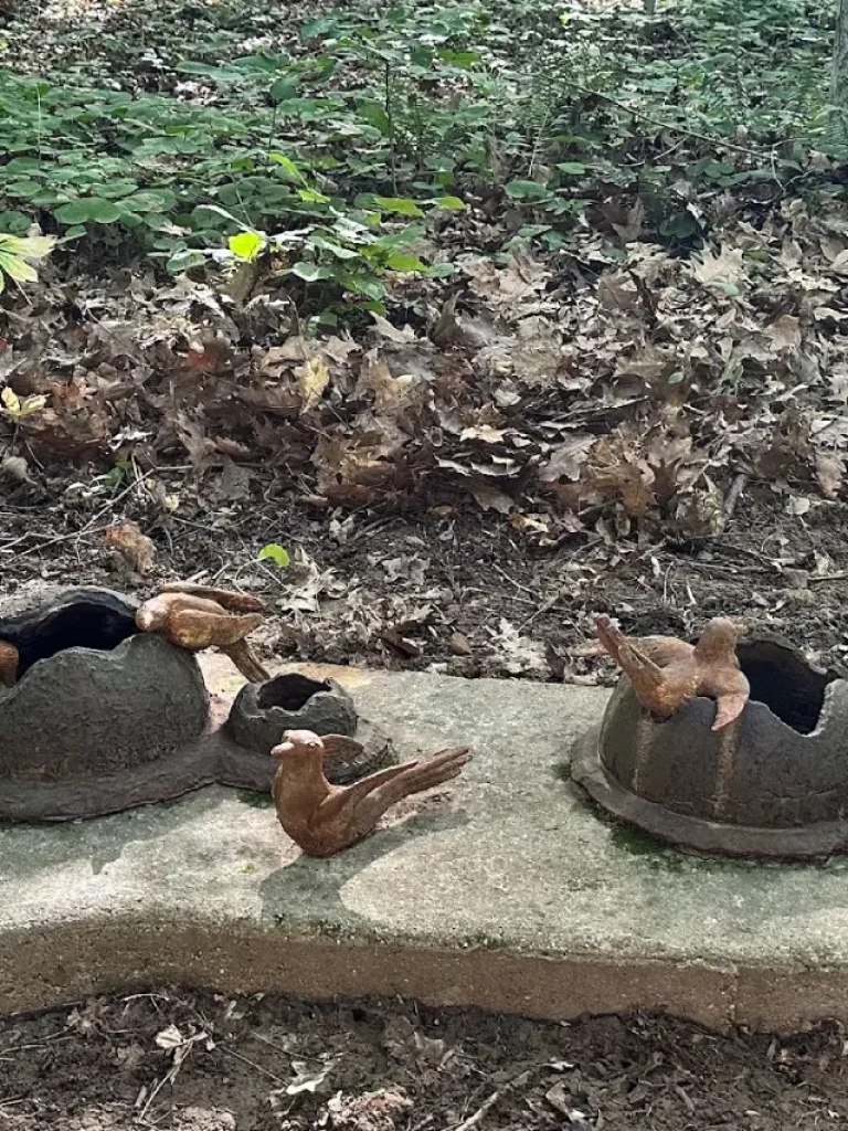 Flock