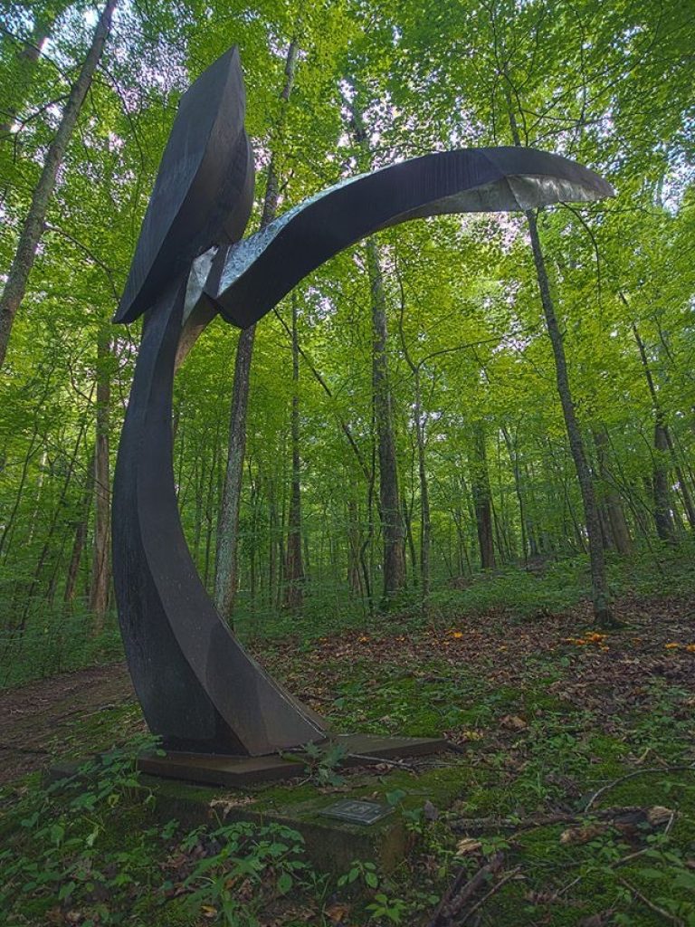 Forest Dancing