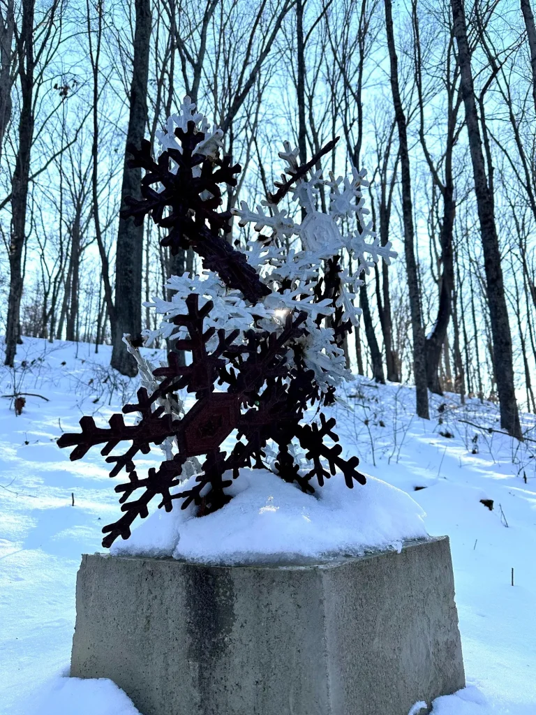 Snowflakes